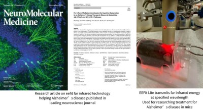 eefit Far Infrared Technology Scientifically Verified by Renowned Hong Kong University: Improves Two Major Symptoms of Alzheimer’s Disease, Bringing New Hope to Brain Health Protection