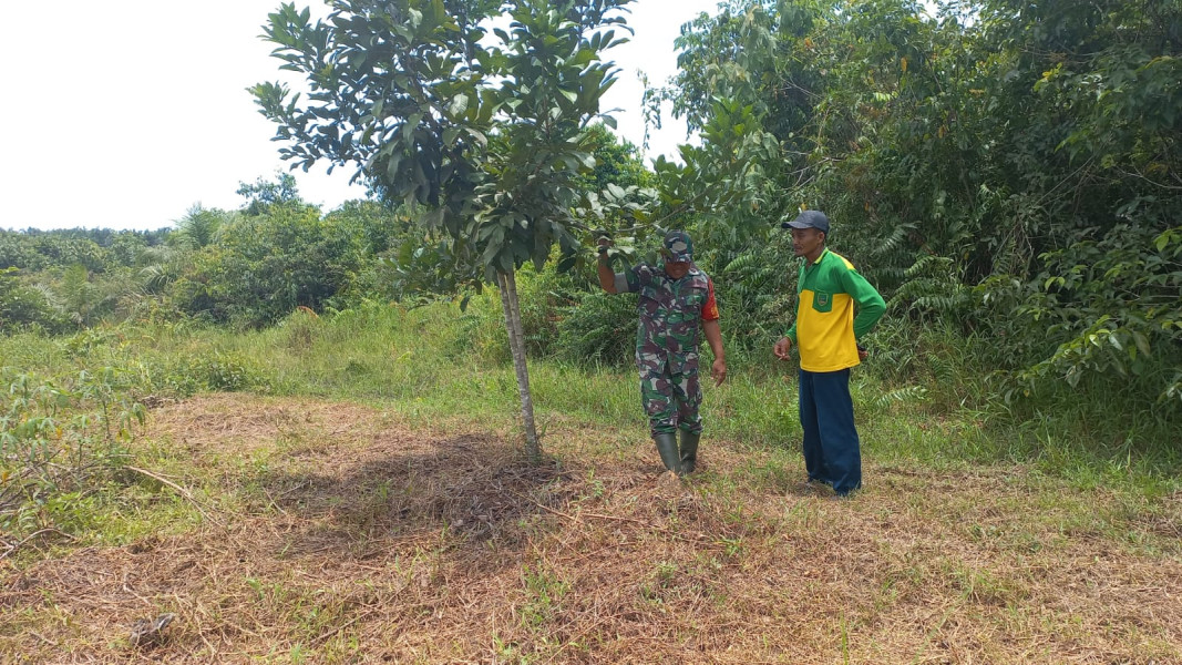 Babinsa Bukit Nenas Gelar Patroli di Area Rawan Karhutla