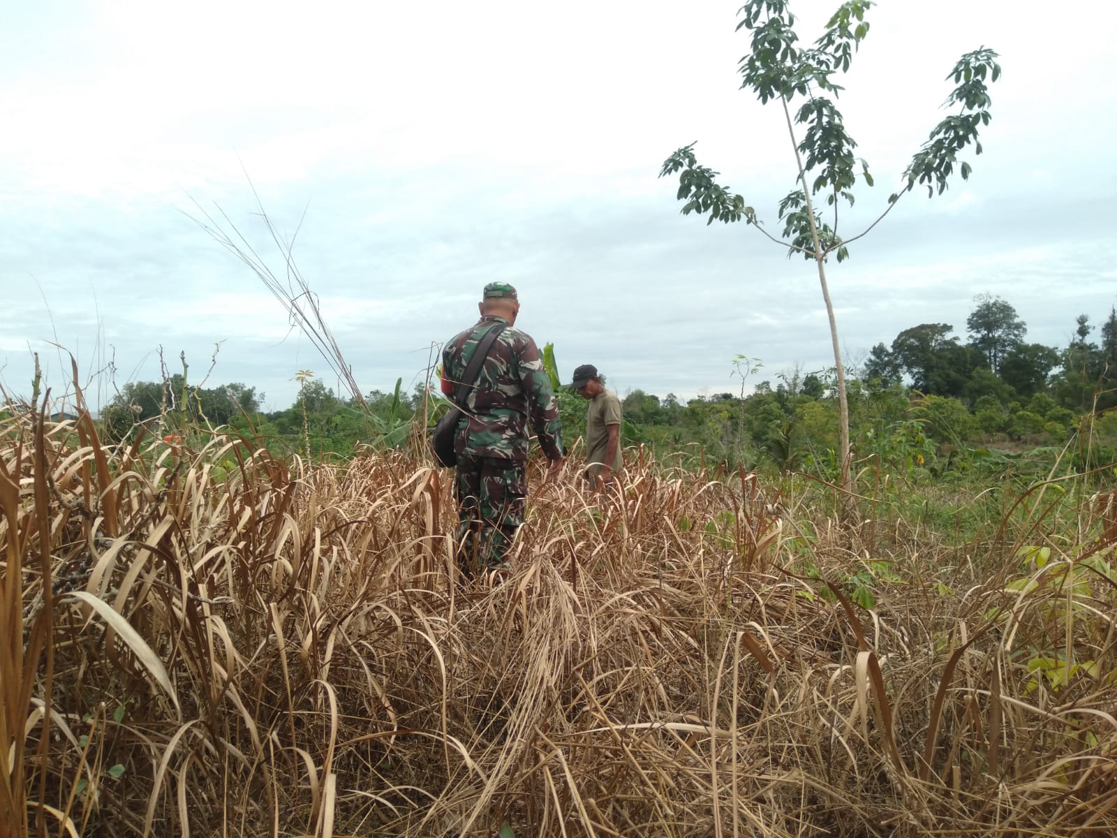 Penyuluhan Cegah Karhutla Oleh Serka Fahrizal Purba