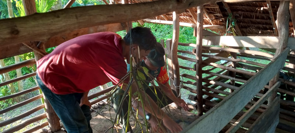 Babinsa Koramil 06 Merbau Serda Syahrul Ismail Laksanakan Pemantauan Hewan Ternak