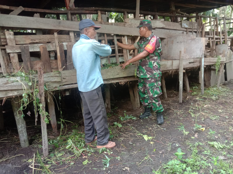 Babinsa Pangkalan Sesai, Serda Agustinus, Melakukan Sosialisasi Pencegahan PMK