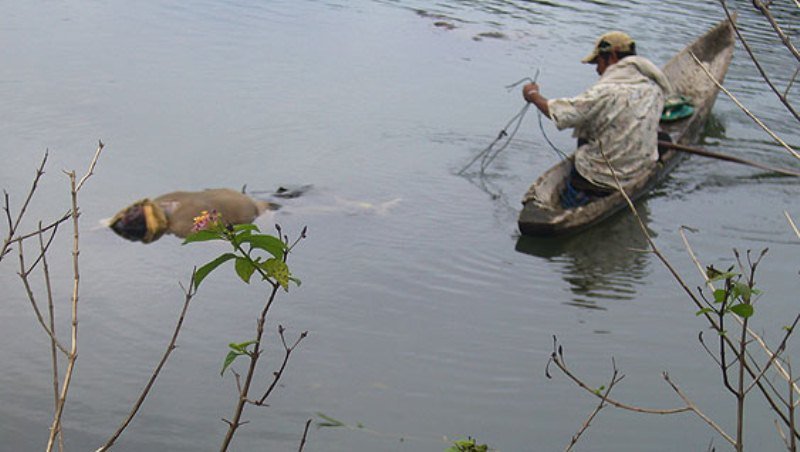Lagi, Temuan Mayat Tanpa Identitas di Pinggir Sungai Siak