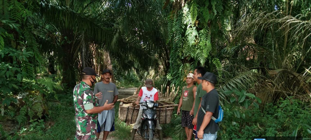 Serda Roni Harap Masyarakat Bisa Membantu Mencegah Karhutla