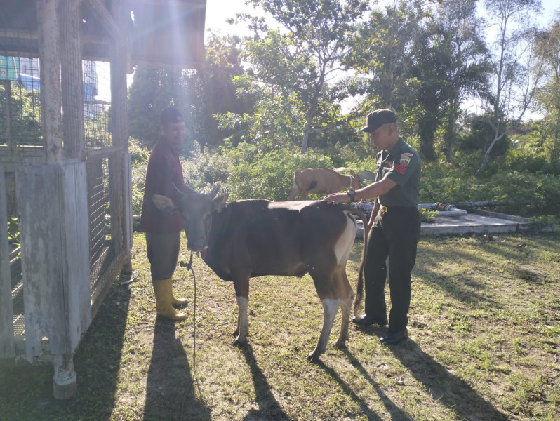 Sambangi Peternak, Praka Onki Laksanakan Sosialisasi Pencegahan PMK