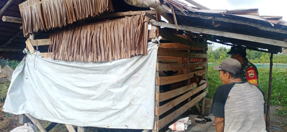 Babinsa Merbau Serda CJ Silalahi Melaksanakan Sosialisasi Pencegahan PMK