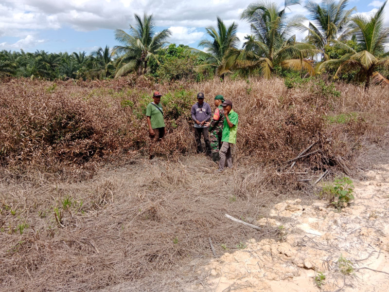 Serda Bambang Irwanto Babinsa Ramil 03/SS Gelar Patroli Karhutla di Kelurahan Sei. Geniot