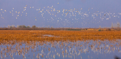 Discover Xinghua, China – a 