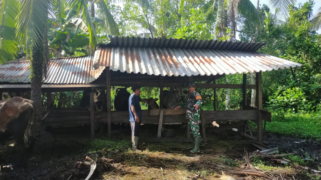 Perhatian Serda Iwan Sahputra Dalam Mencegah PMK