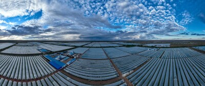 Chinese Spirulina Industry Expands Global Reach, Promoting Health and Nutrition Benefits