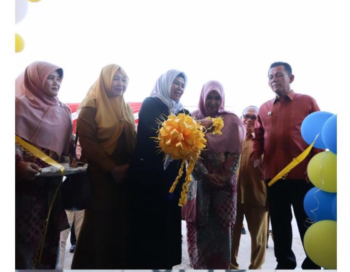 Gedung Instalasi Farmasi Kepri Diresmikan Gubernur Ansar Ahmad