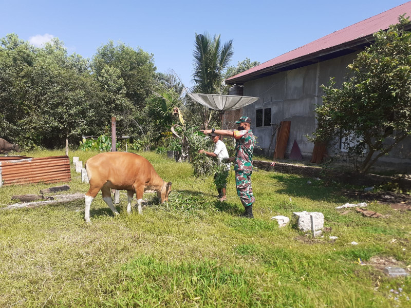 Serda Andri Widodo Sosialisasikan Pencegahan PMK