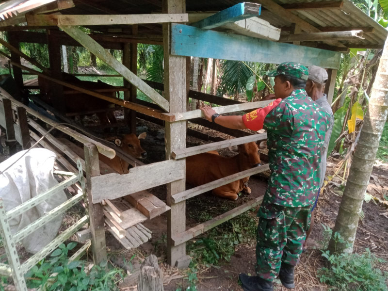 Serma Sukardi Sosialisasikan Pencegahan PMK