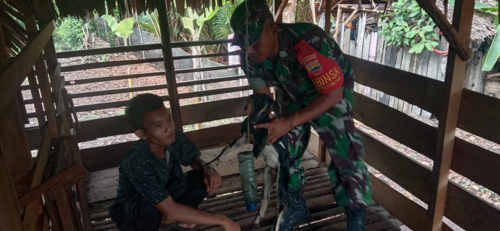 Yanto Senang Babinsa Datang ke Peternakannya