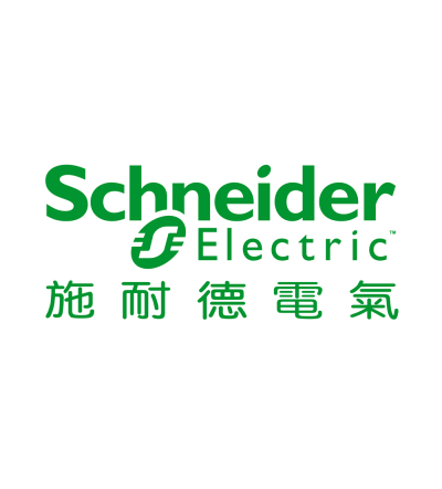 Introducing SE Advisory Services