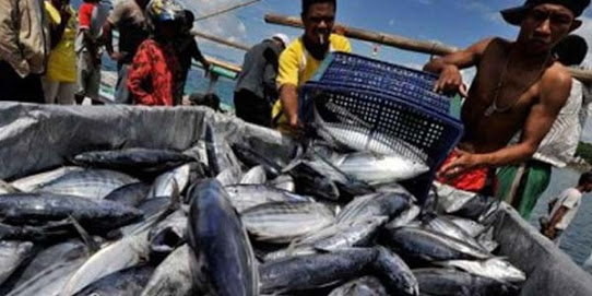 Nelayan Lokal di Rohil Resah dengan Maraknya Pencurian Ikan