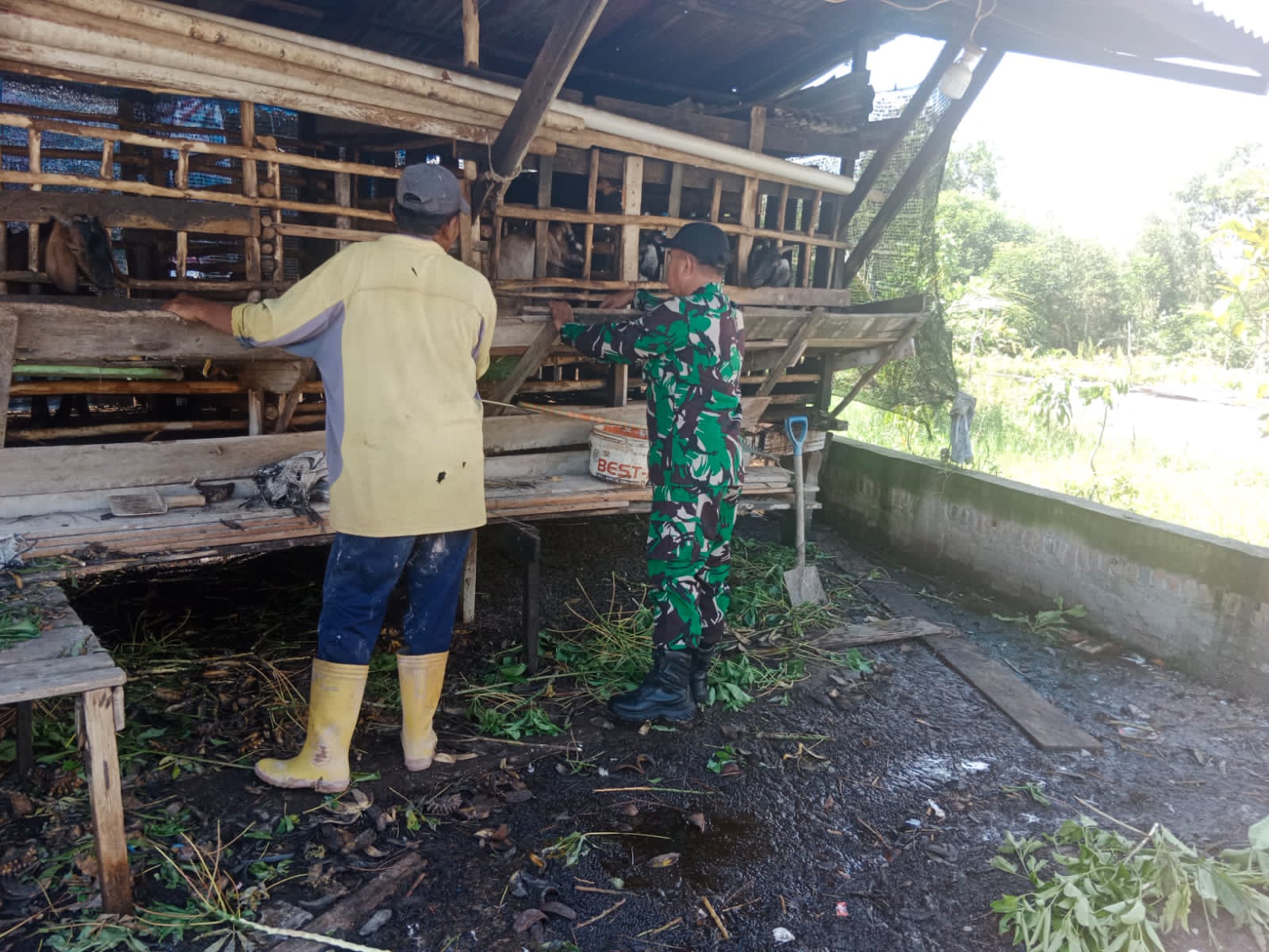 Giat Pencegahan PMK Terus Dilaksanakan, Sertu Mahyudin Sambangi Peternak