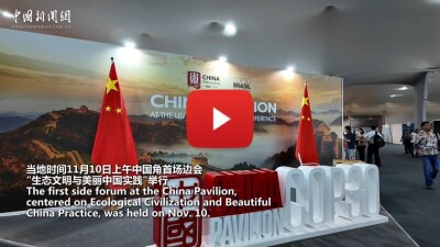 China Pamerkan Pencapaian Lingkungan Hidup di COP30 dan Komitmen terhadap Perubahan Iklim