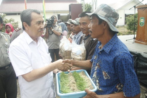 Bupati Hadiri Grand Launching Taman Teknologi Pertanian Siak