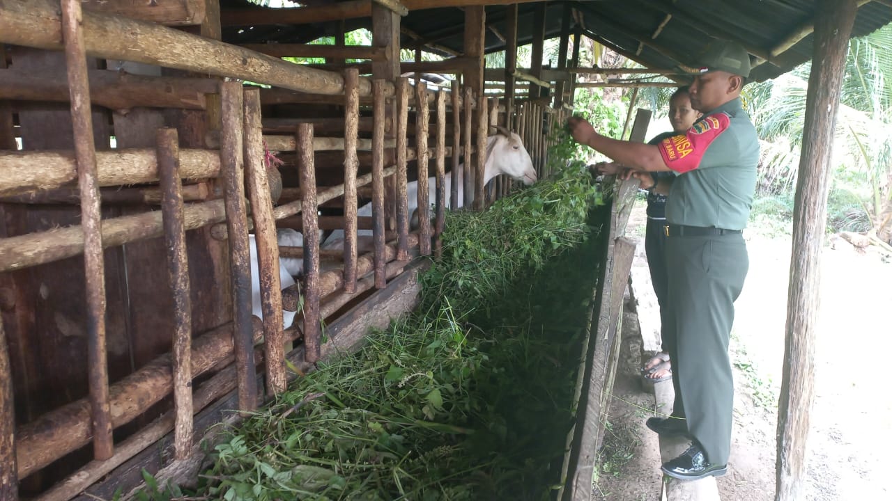 Babinsa Kampung Baru Laksanakan Giat Cegah PMK