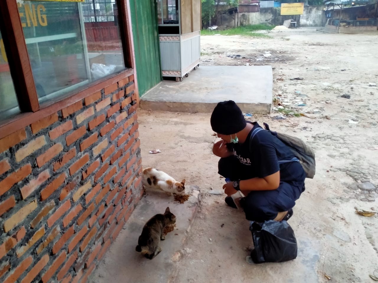 Yayasan Pecinta Hewan Dumai Ajak Masyarakat Peduli Kucing Terlantar
