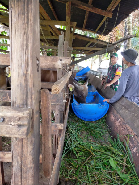Waspada PMK, Serda Iwan Sahputra Laksanakan Sosialisasi