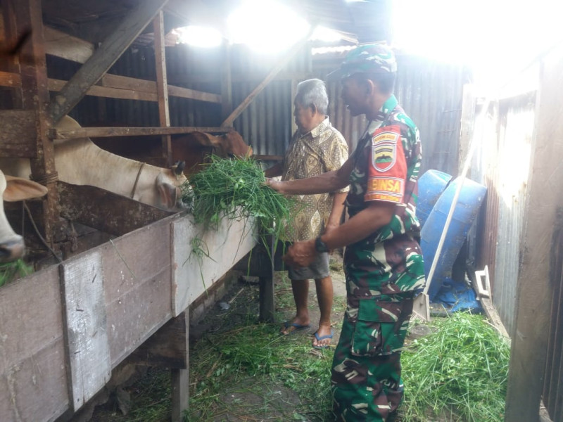 Sertu Nono Harapkan Peternak Selalu Memperhatikan Kebersihan Kandangnya
