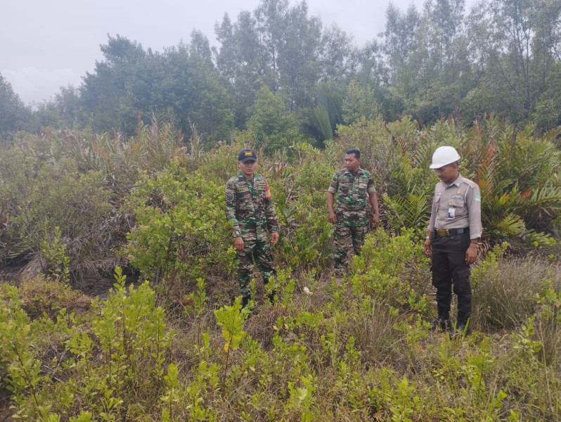 Pelaksanaan Pencegahan Karhutla Oleh Babinsa Koramil 06 Merbau