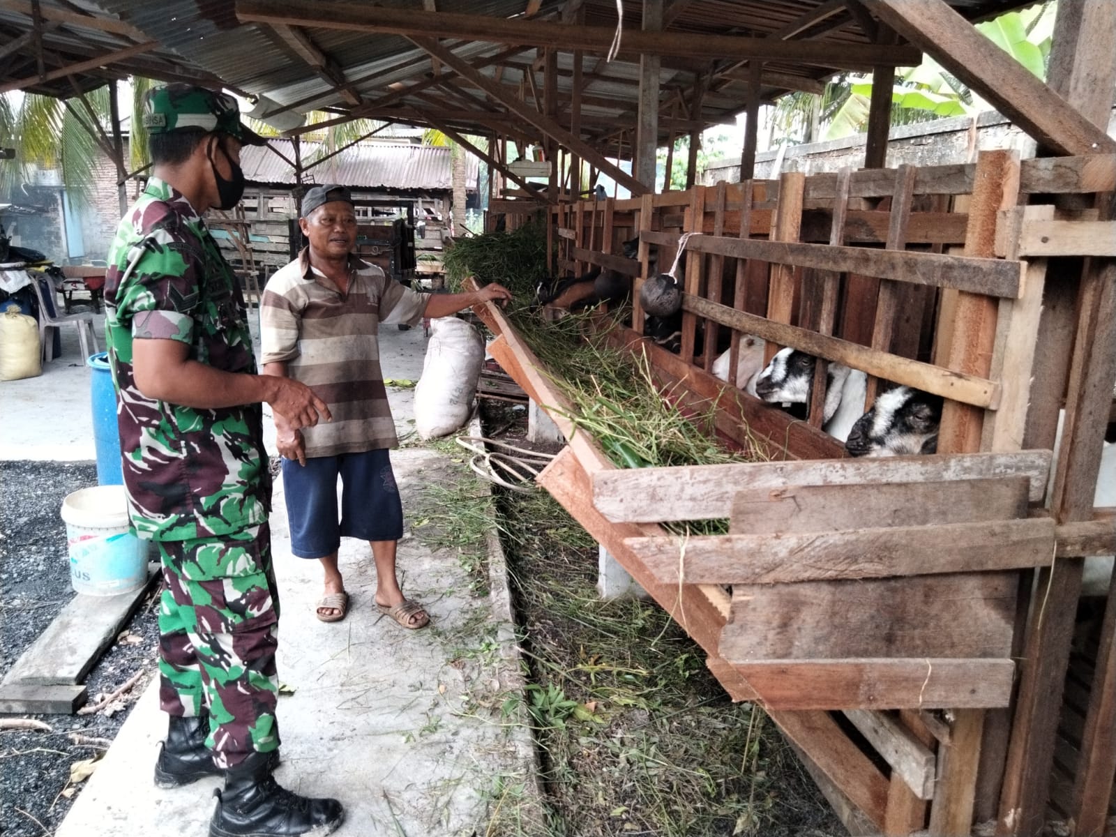 Sertu Sugianto Sambangi Peternak di Wilayah Binaannya