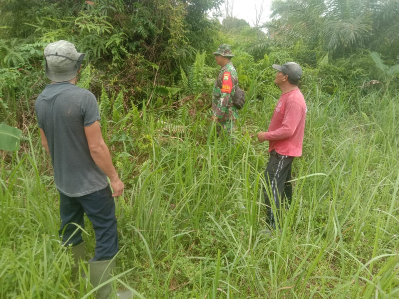 Babinsa Koramil 02 Serda Cerzakatno Laksanakan Patroli Guna Mencegah Karhutla