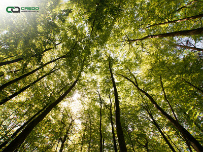 Credo Assurance Earns ESG Certification to Support Sustainability Reporting
