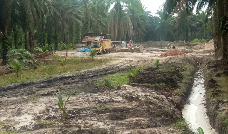 Usaha Pertambangan Pasir Galian C di Bengkalis Dituding Ilegal