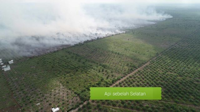 Pelalawan Membara Lagi Ratusan Hektar Lahan Terbakar