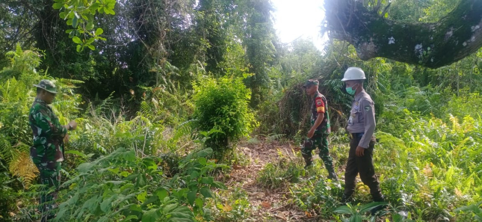 Melalui Babinsanya, Koramil 06 Merbau Laksanakan Patroli Cegah Karhutla