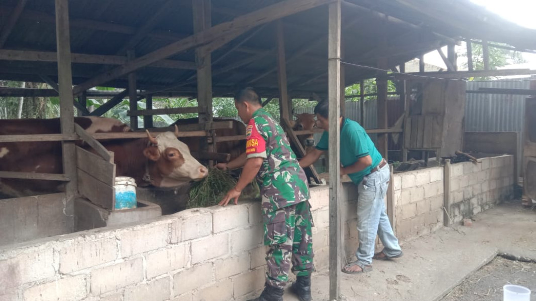 Komsos Cegah PMK Oleh Sertu Jainal Arifin