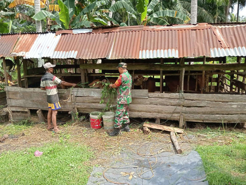 Serma Sukardi Menggandeng Masyarakat Untuk Mencegah PMK