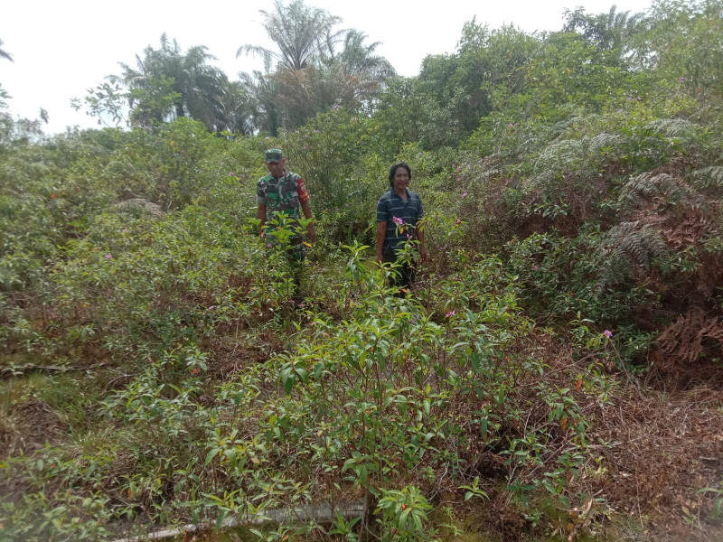 Sertu Ramli Laksanakan Giat Untuk Mencegah Karhutla