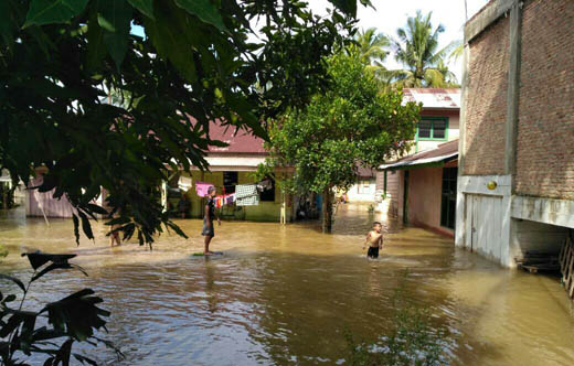 Banjir Mulai Merendam Sejumlah Daerah di Rohul