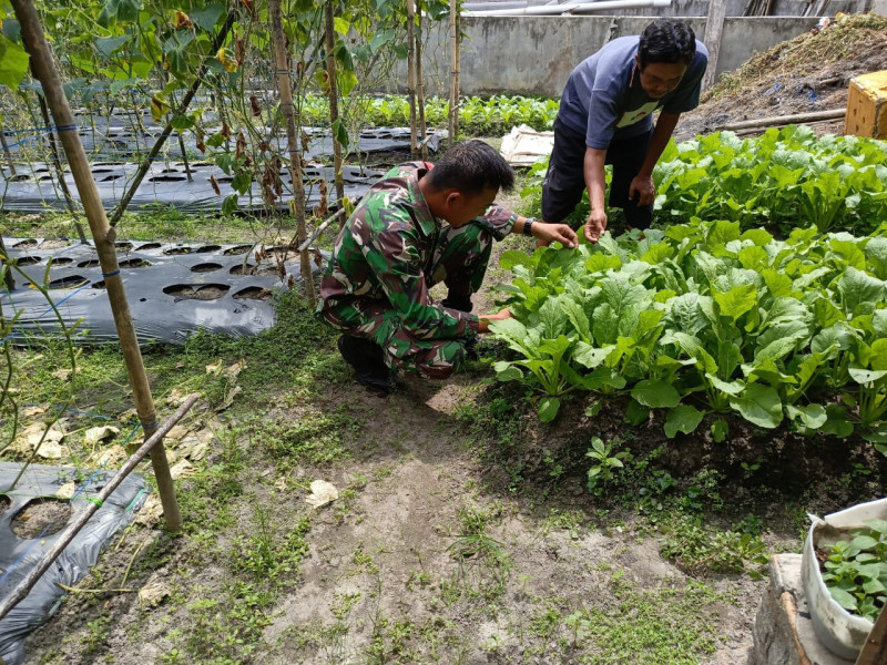 Serka Tomy Mike Laksanakan Pendampingan dan Sosialisasi Cegah Karhutla
