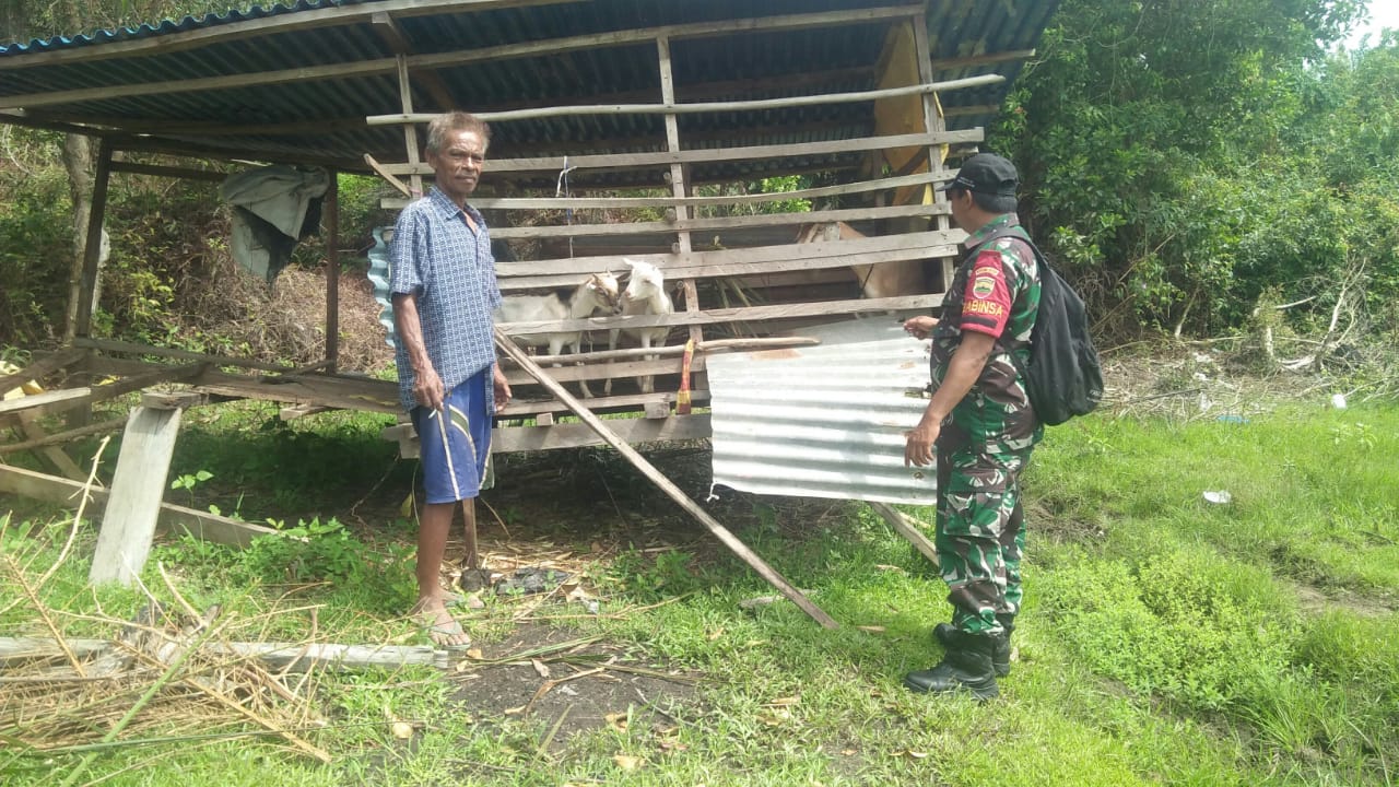 Semangat Cegah PMK, Serda Cerza Katno Sambangi Peternak