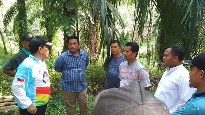 Tahun 2020, Pemkab Rohul Bangun Infrastruktur Jalan Aspal Sepanjang 27,35 Km