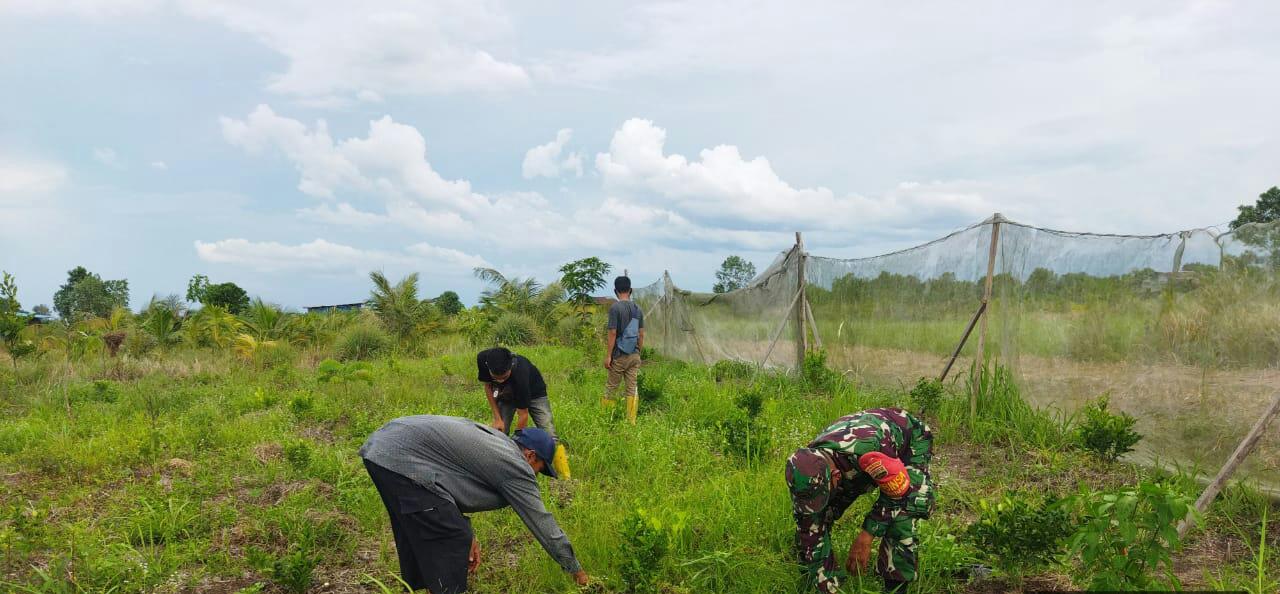 Sertu Abu Kasim Laksanakan Pendampingan Karya Nyata dan Ingatkan Bahaya Karhutla