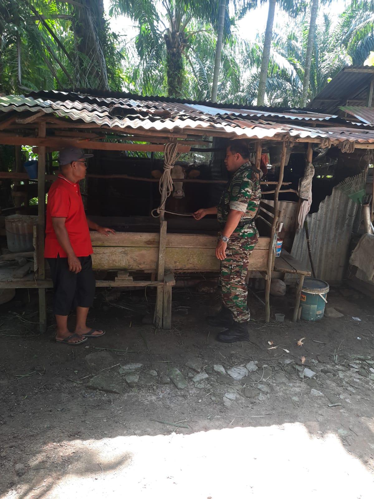 Tumirin Mendapatkan Edukasi Dari Pelda Hendrianto Tentang Pencegahan PMK