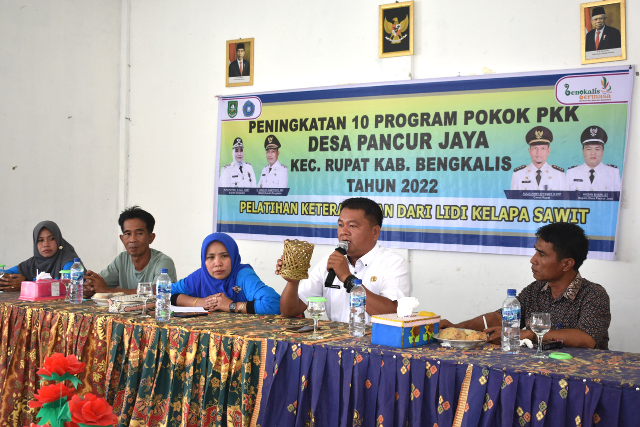 Pemdes Pancur Jaya Gelar Peningkatan 10 Program PKK