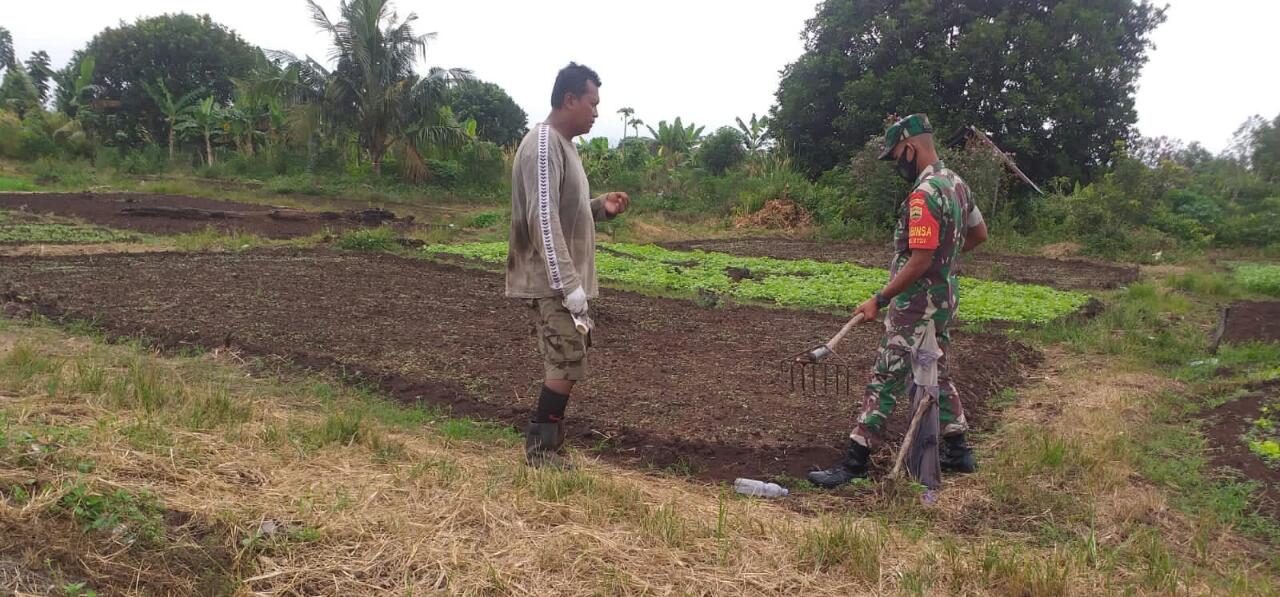 Sertu Sugianto, Dampingi Petani Kangkung