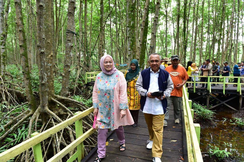 Gubernur Riau Takjub Keindahan Ekowisata Mangrove dan Pantai Solop