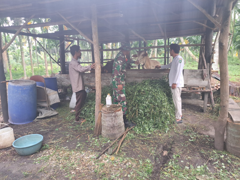 Serda Andri Widodo Berikan Kiat Pencegahan PMK Kepada Suardi