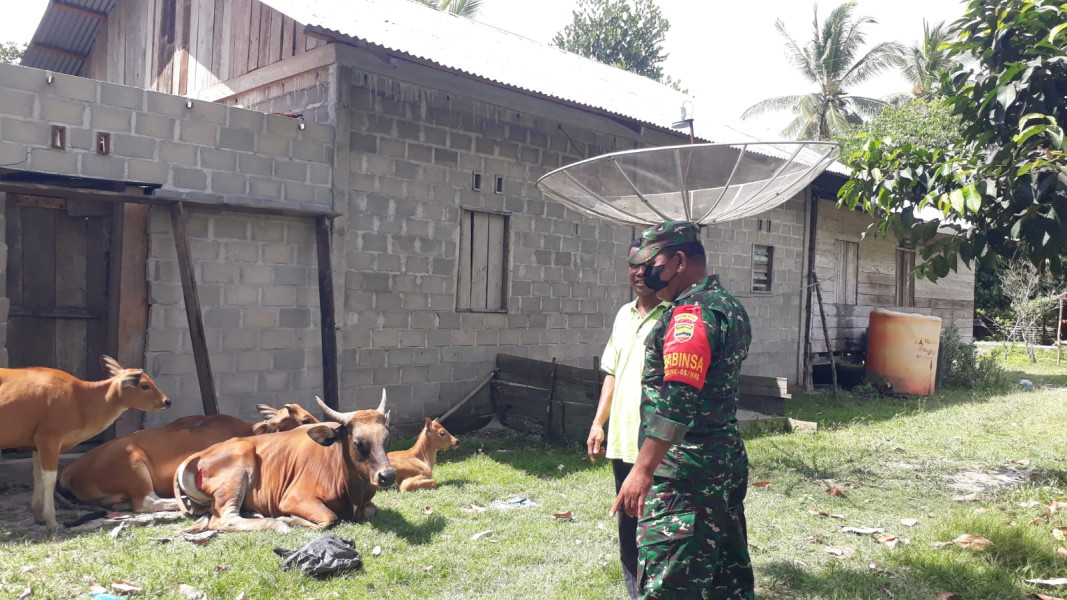 Pelda Albiker Memonitoring Kesehatan Hewan Ternak