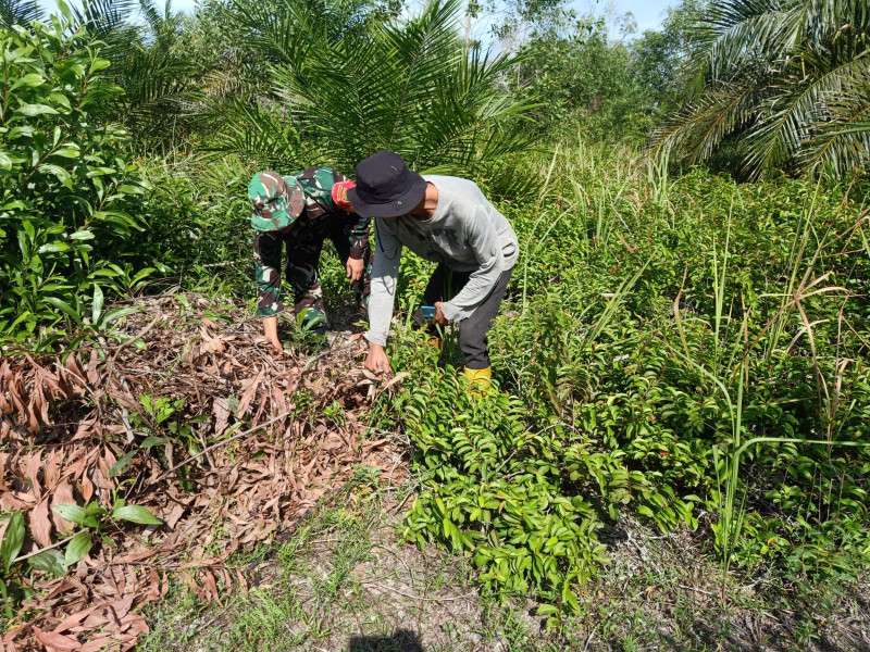 Dandim 0320/Dumai Berharap Kebersihan dan Kesehatan Tetap Menjadi Prioritas Untuk Dijaga