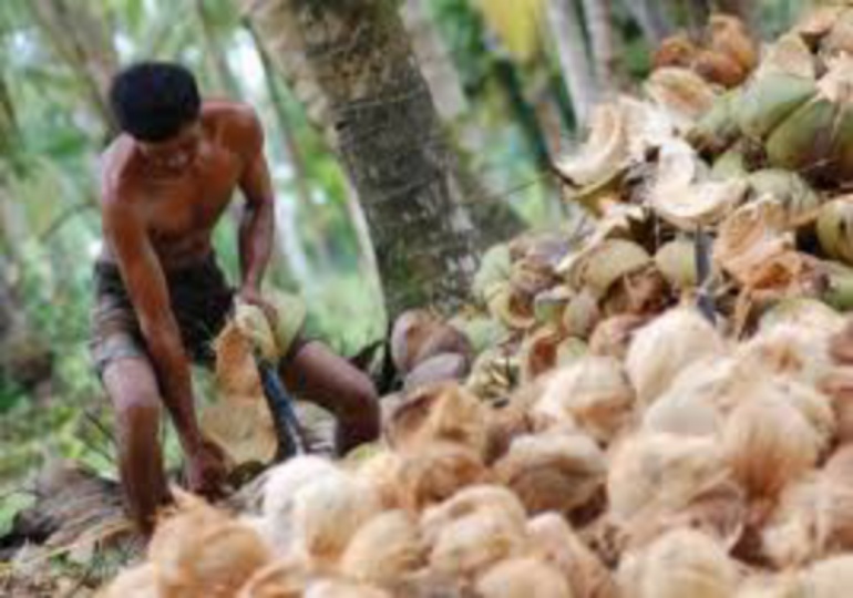 Sistem Resi Gudang Tunggu Perda Tentang BUMD