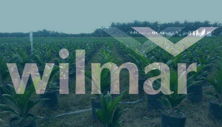 Pertama, Wilmar Terapkan Perlindungan Anak di Perkebunan Kelapa Sawit